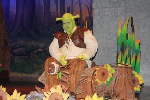 Tom Zepp as Shrek