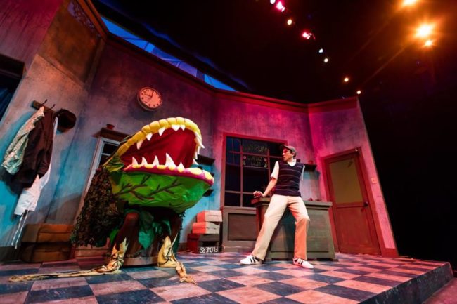 Audrey II (inhabited by Trevor Schmidt, voiced by Dan Morton) and Seymour (right- Jeremy Scott Blaustein) in Little Shop of Horrors