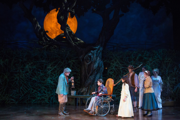 (L to R) Sean G. Griffin as Ben Weatherstaff, Henry Baratz as Colin Craven, Anya Rothman as Mary Lennox, Charlie Franklin as Dickon, Jason Forbach as Spirit of Captain Albert Lennox, Daisy Eagan as Martha, and Brittany Baratz as Spirit of Rose Lennox