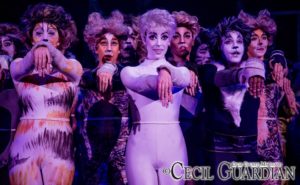 The ensemble of Cats at Milburn Stone Theatre