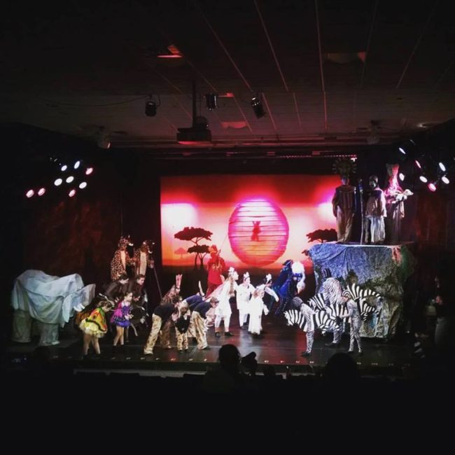 The cast of The Lion King Jr. at Children's Playhouse of Maryland