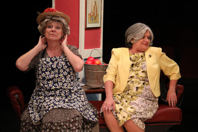 Valerie Lash (left) as Ouiser Boudreaux and Hillary Mazer (right) as Clairee Belcher. Photo: ShealyJaePhotography