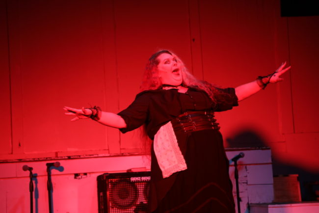 Siobhan Beckett as Bridget Sullivan in Lizzie. Photo: Shealyn Jae Photography