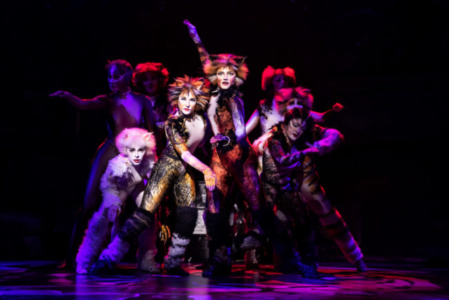 The North American Tour of Cats. Photo: Matthew Murphy