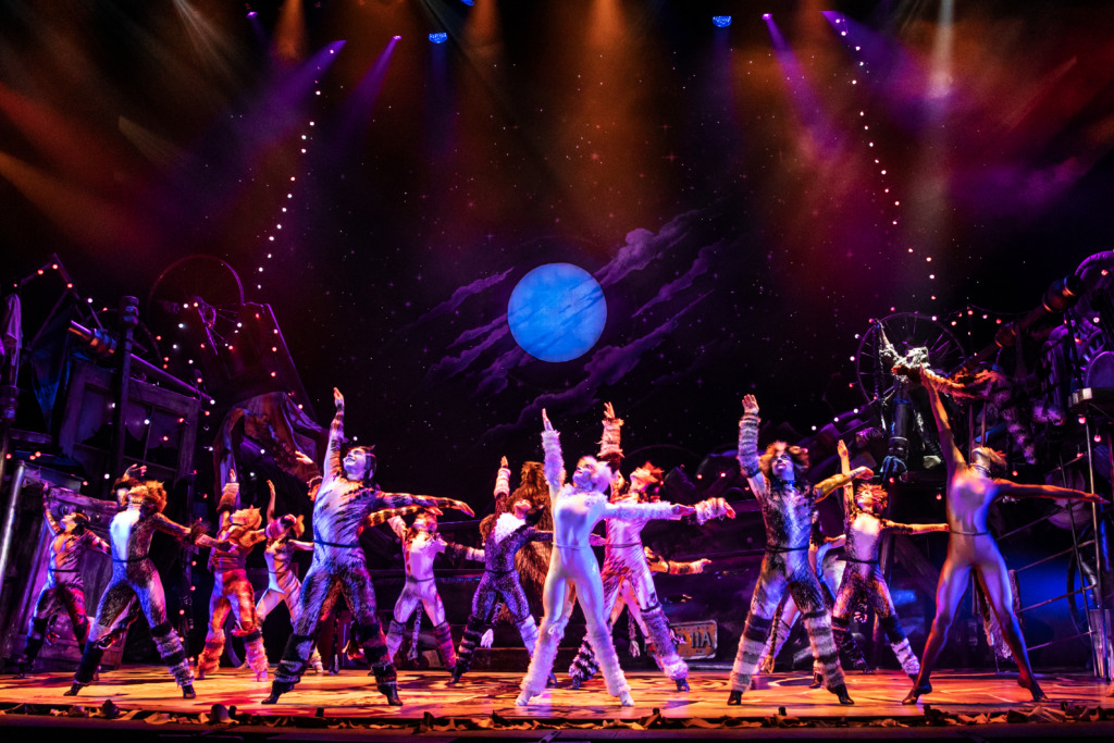 The North American Tour of Cats. Photo: Matthew Murphy