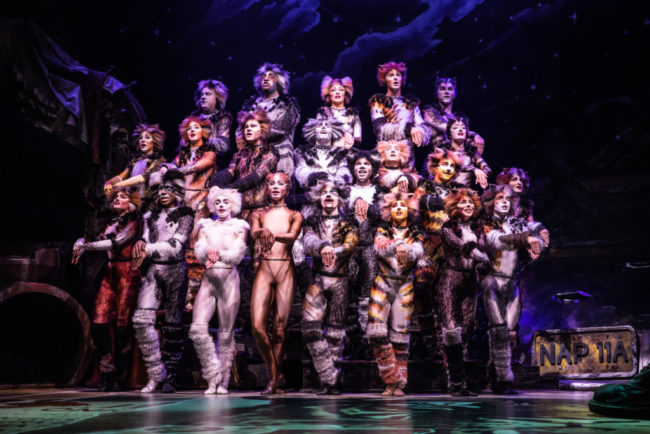 The North American Tour of Cats. Photo: Matthew Murphy