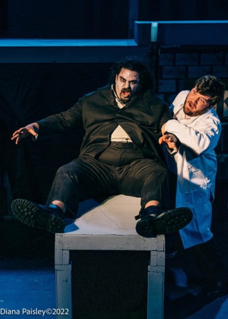 Young Frankenstein on stage and right on cue