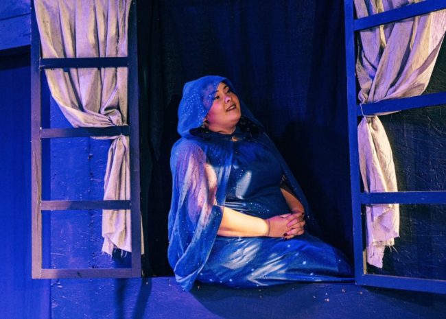 Megan Smith as Fairy Godmother in Cinderella. 📷Diana Paisley