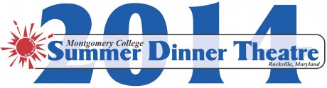 SDT2014_Title_Logo