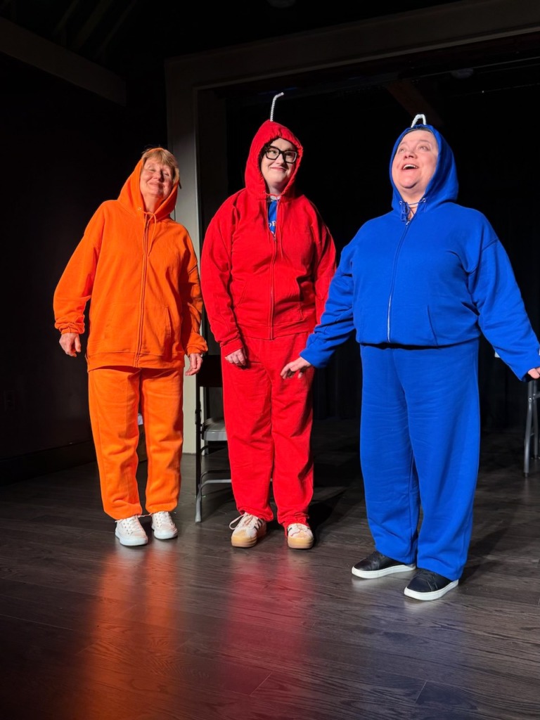 The Dreidel Players Present Best Hanukkah Show Ever! at Sandy Spring Theatre Group 📷 Anthony Pisarra