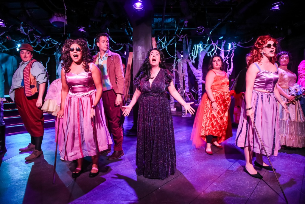 Into The Woods at Maryland Ensemble Theatre 📷 Alan Kayanan